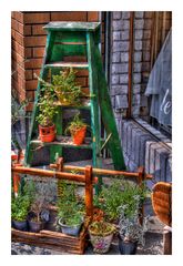 Green Ladder