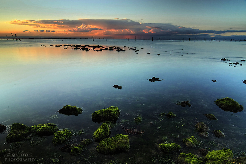 Green Lagoon