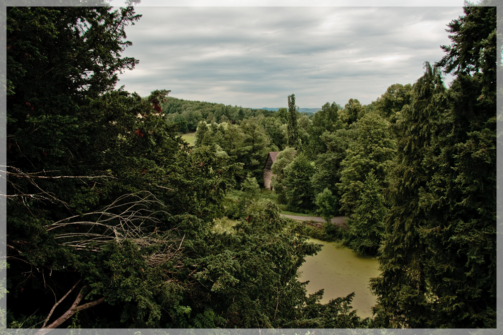 Green Lake Forest