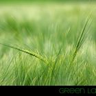 green land