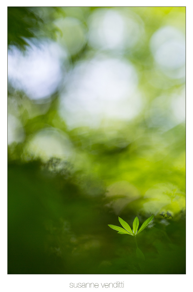 green leave