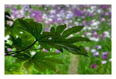 Green Leaves