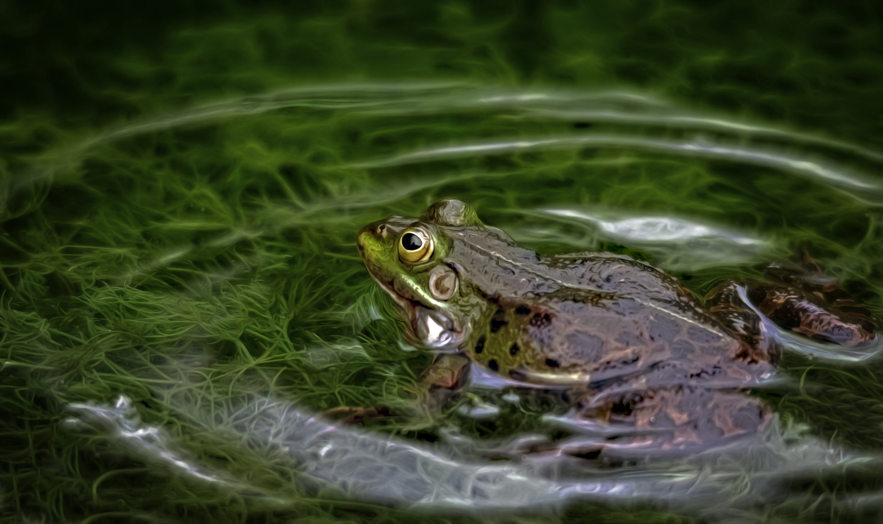 "green living on the lake"