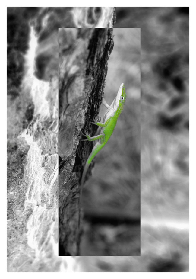 Green Lizard