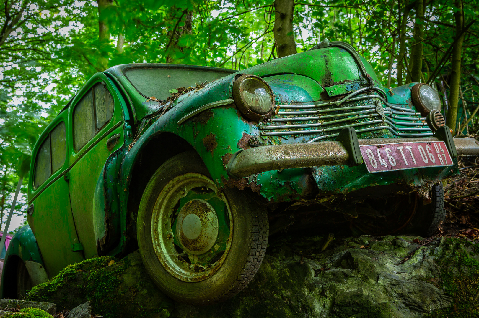 Green Lost Car in the Woods