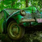 Green Lost Car in the Woods
