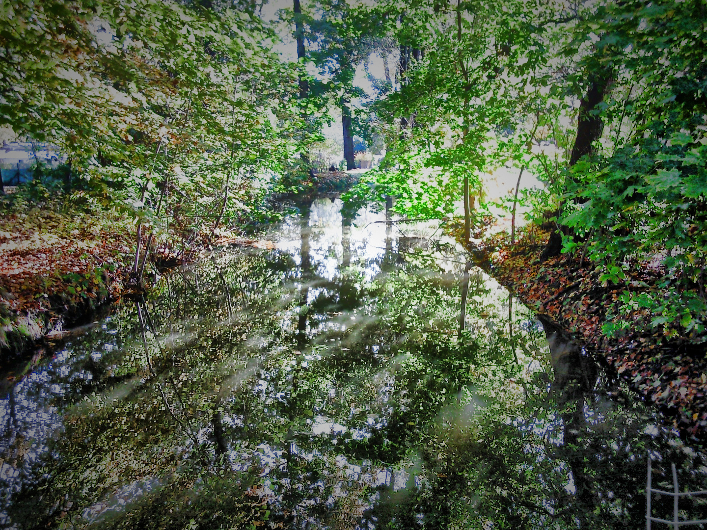 Green Luminous River