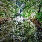 Green Luminous River