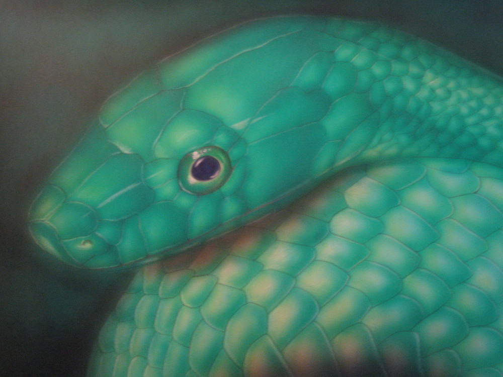 Green Mamba