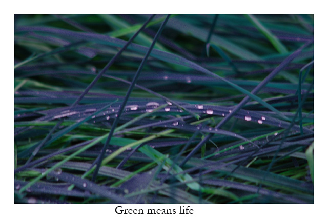 Green means life