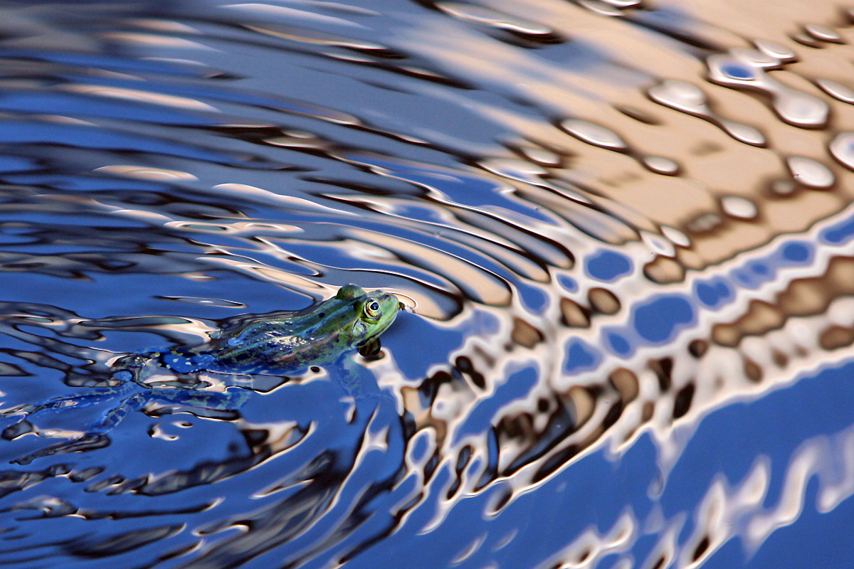 Green meets blue