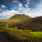 green moss & black stones