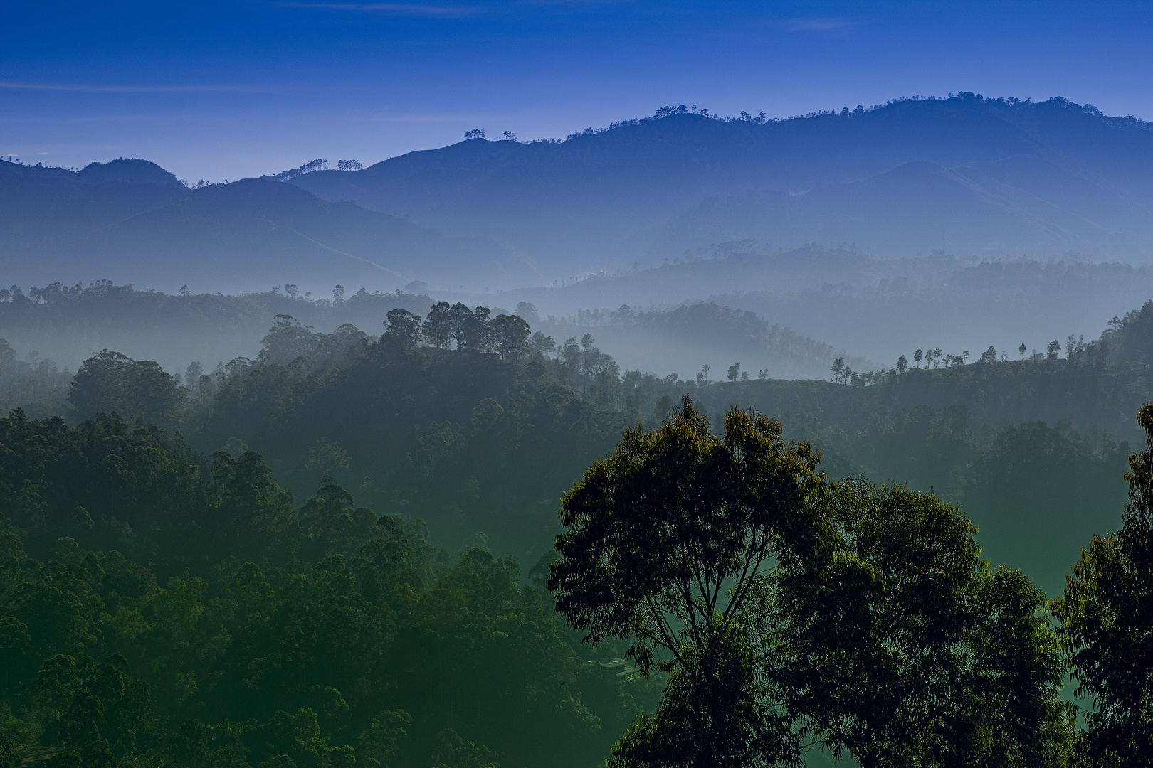 Green mountain landscape