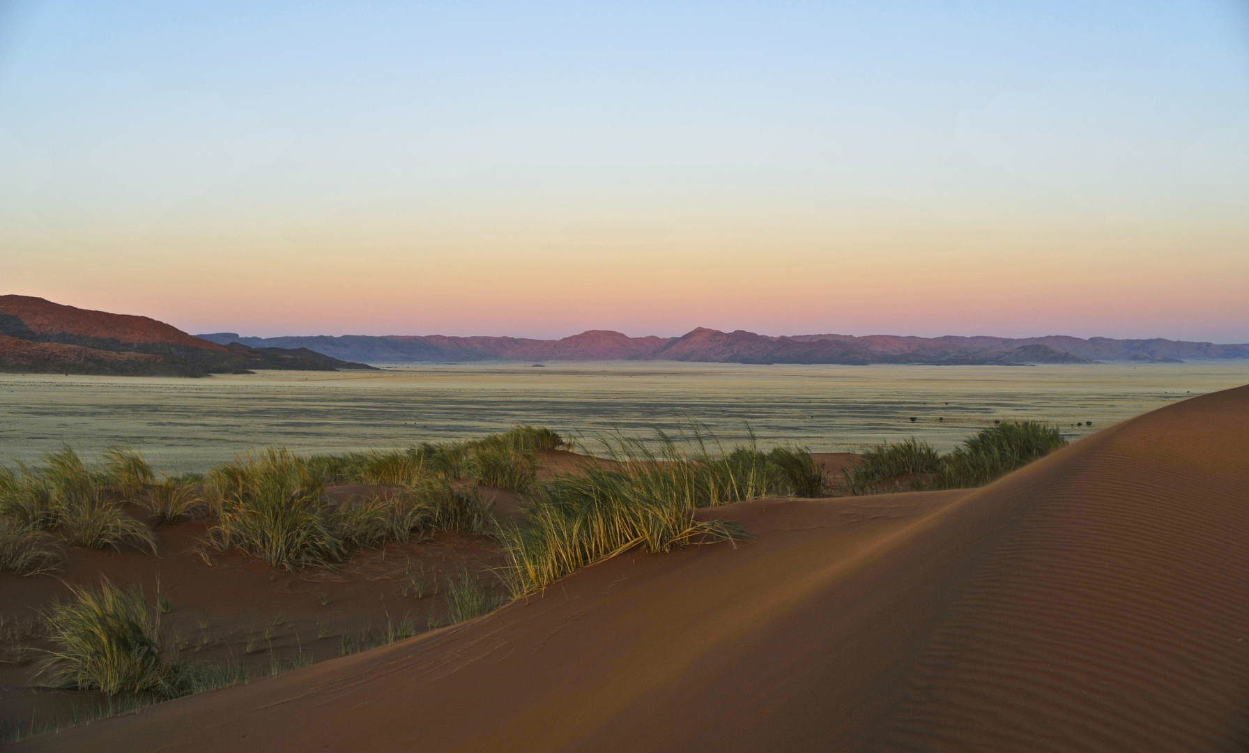 Green Namib Desert
