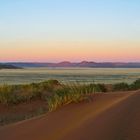 Green Namib Desert