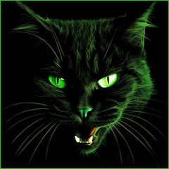 Green Neon Black Cat