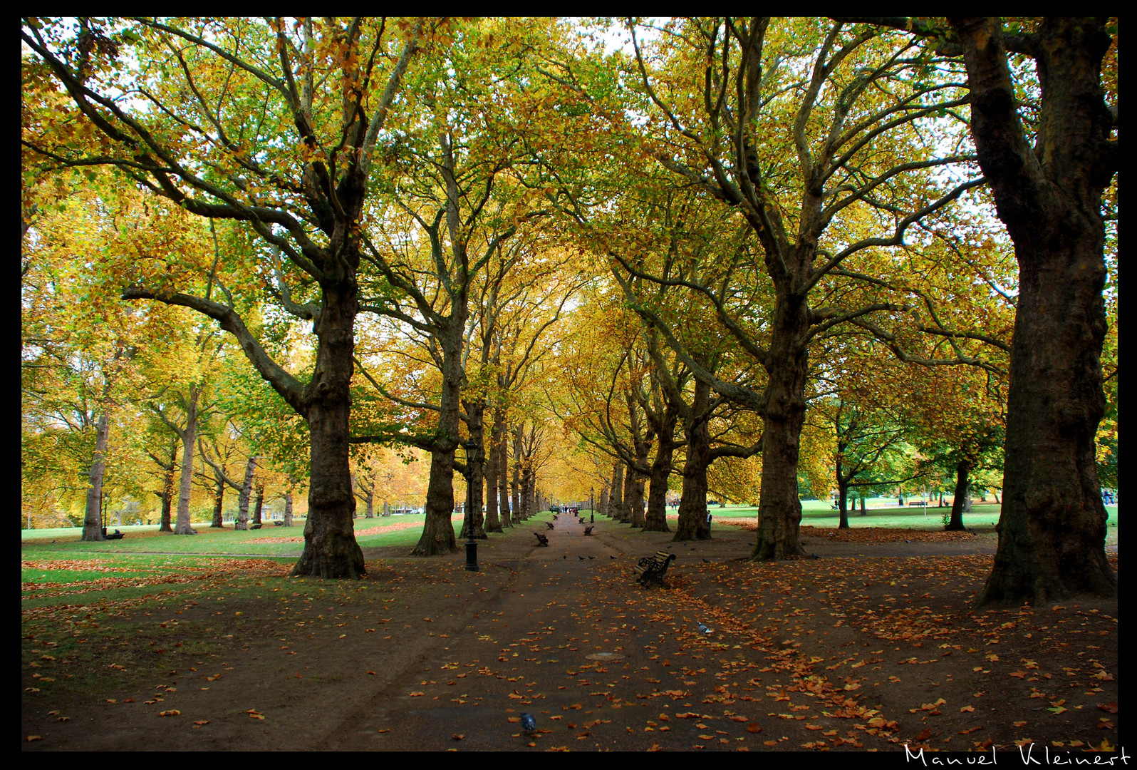 Green Park