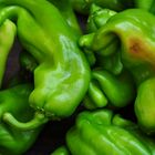 GREEN PEPPER