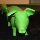 green Pig