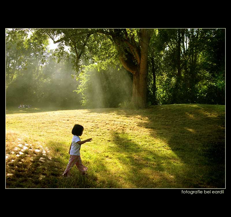 green playground