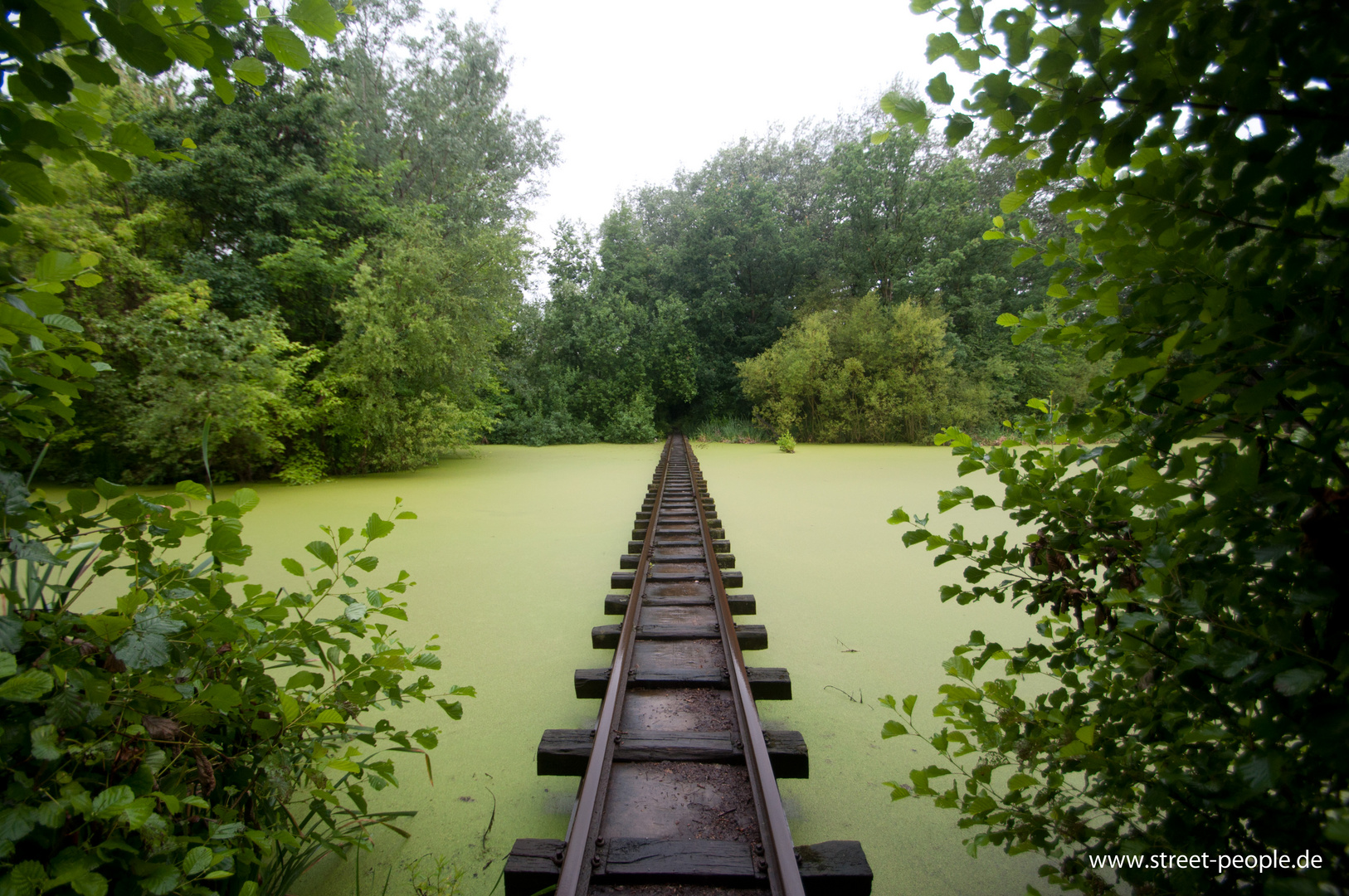 Green Rail Track