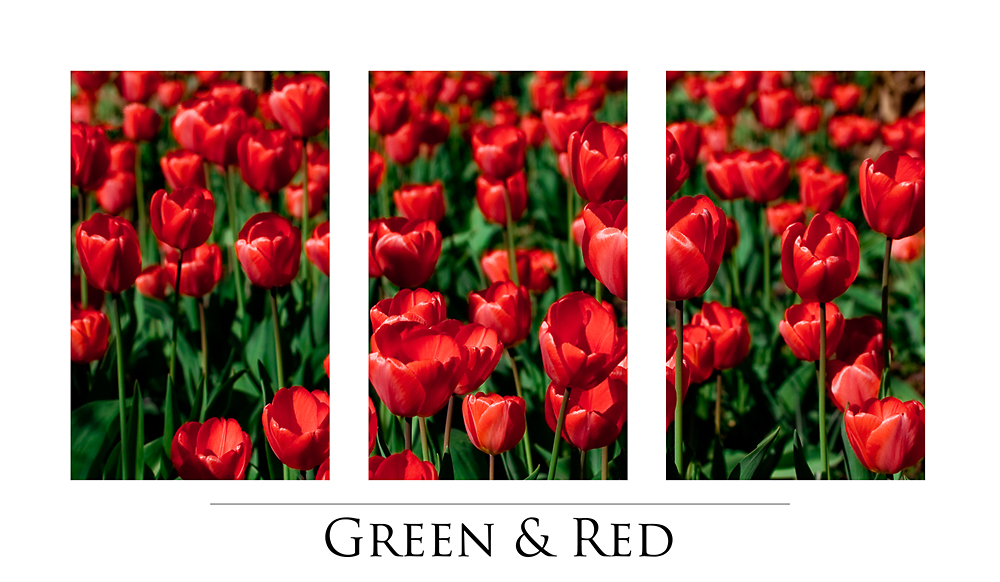 Green & Red