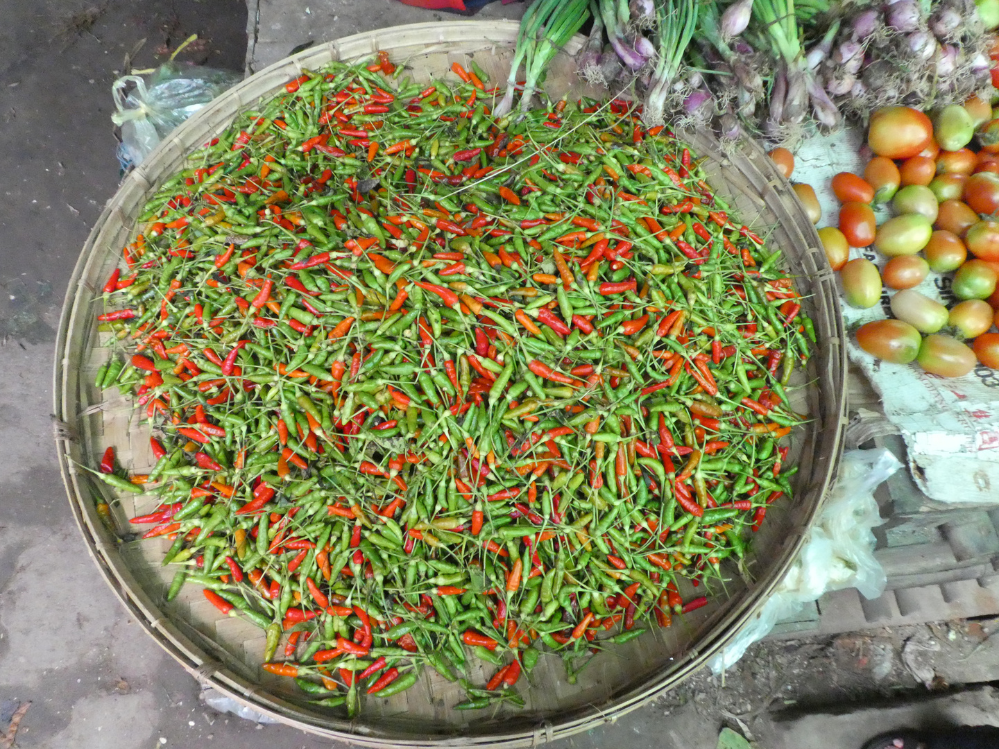 Green & Red Hot Chilli