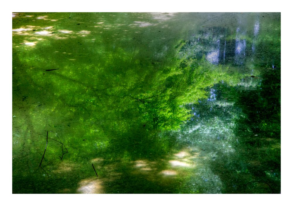 Green reflection