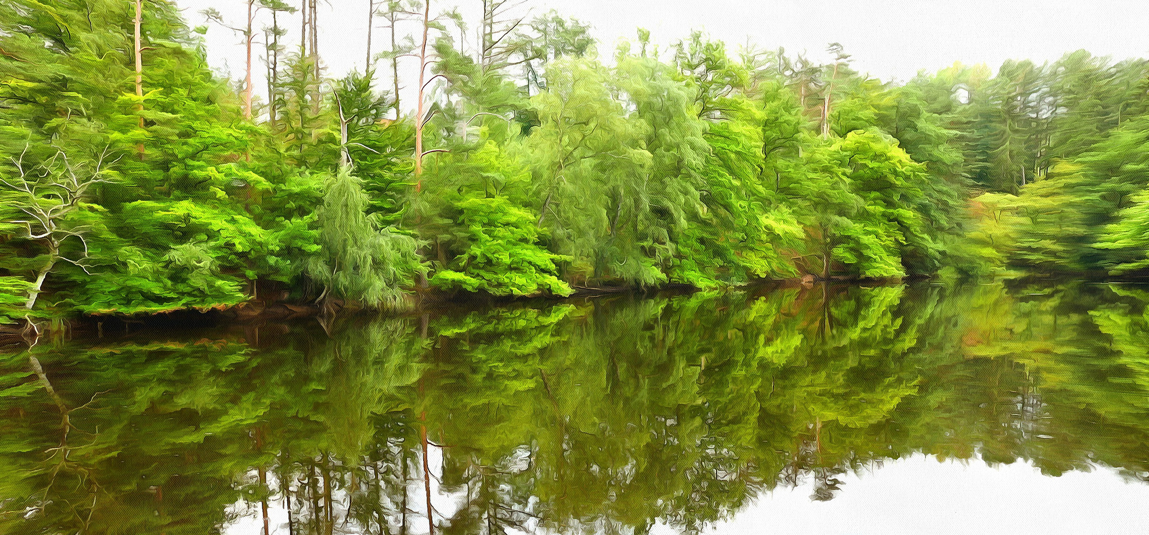 Green reflections