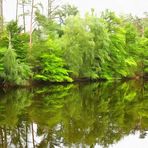 Green reflections