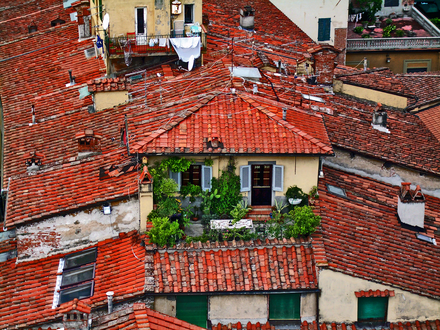 "green roof ", lucca, italy