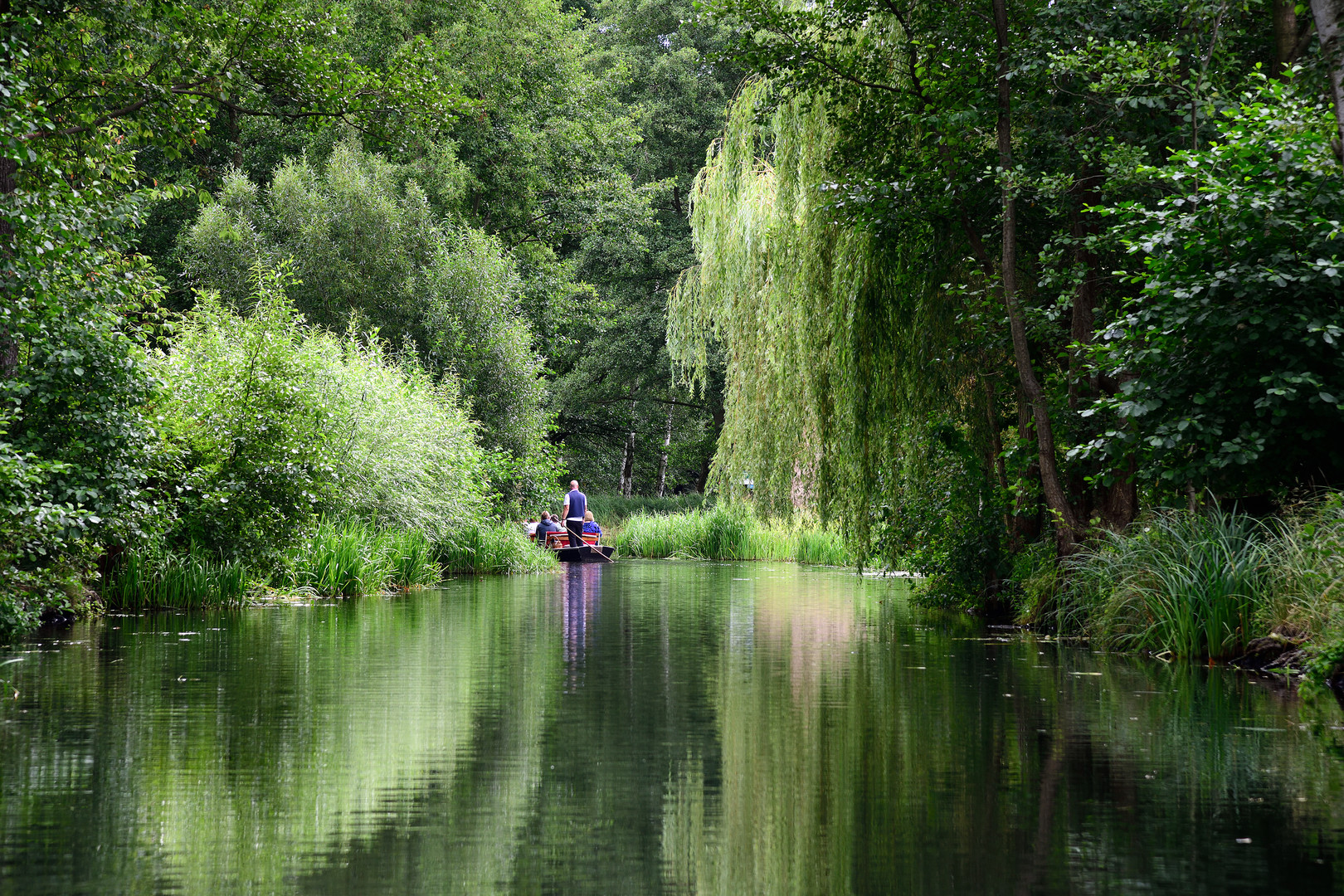 Green sanctuary