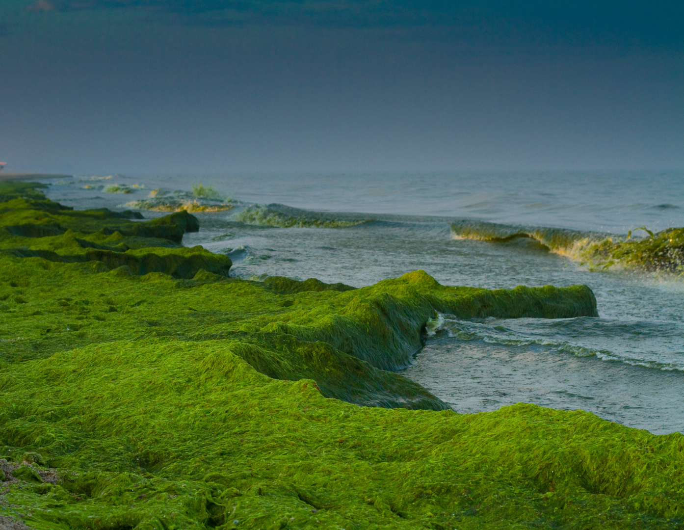 green sea