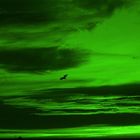 Green Sky