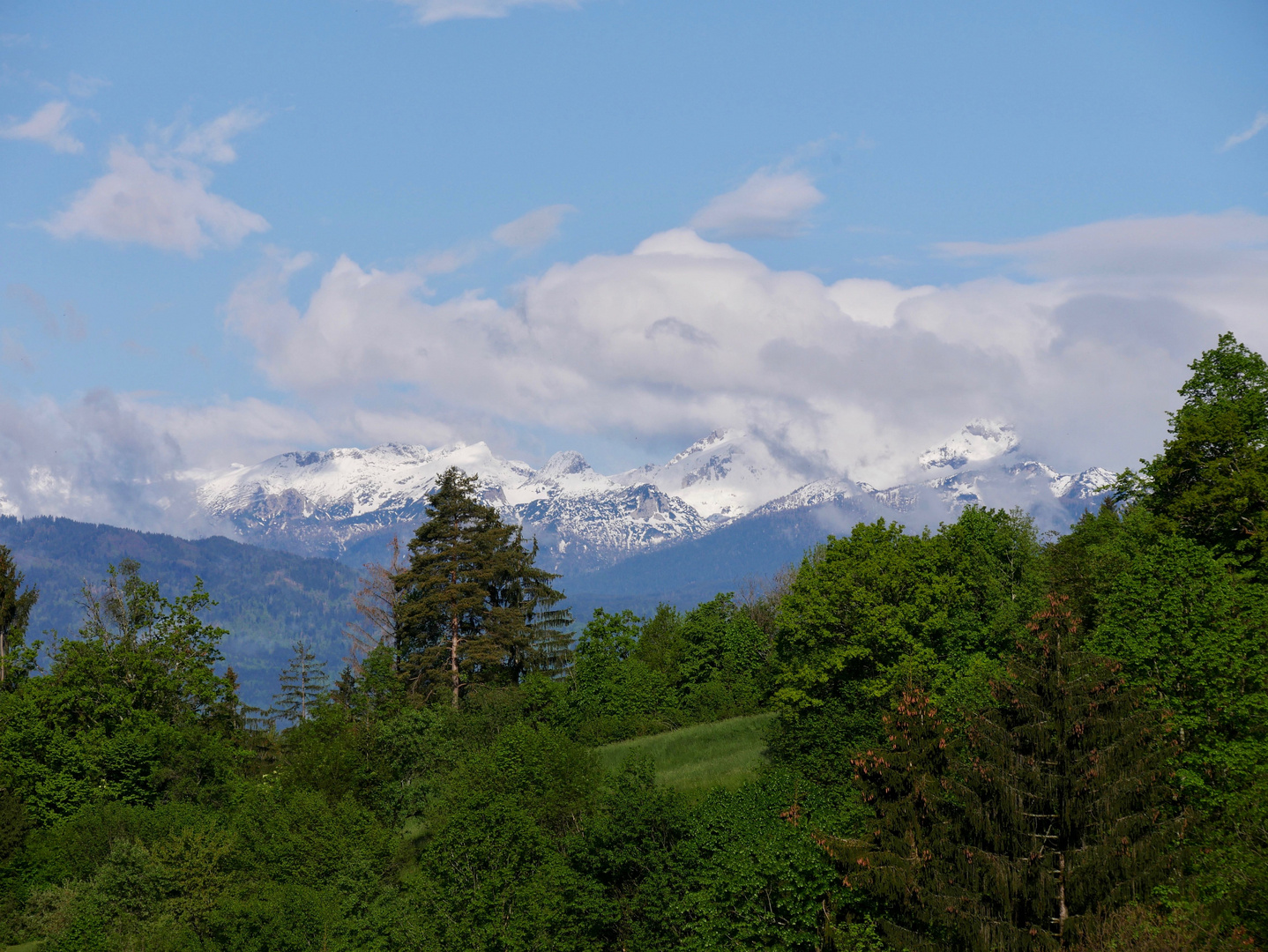 Green Slovenia II