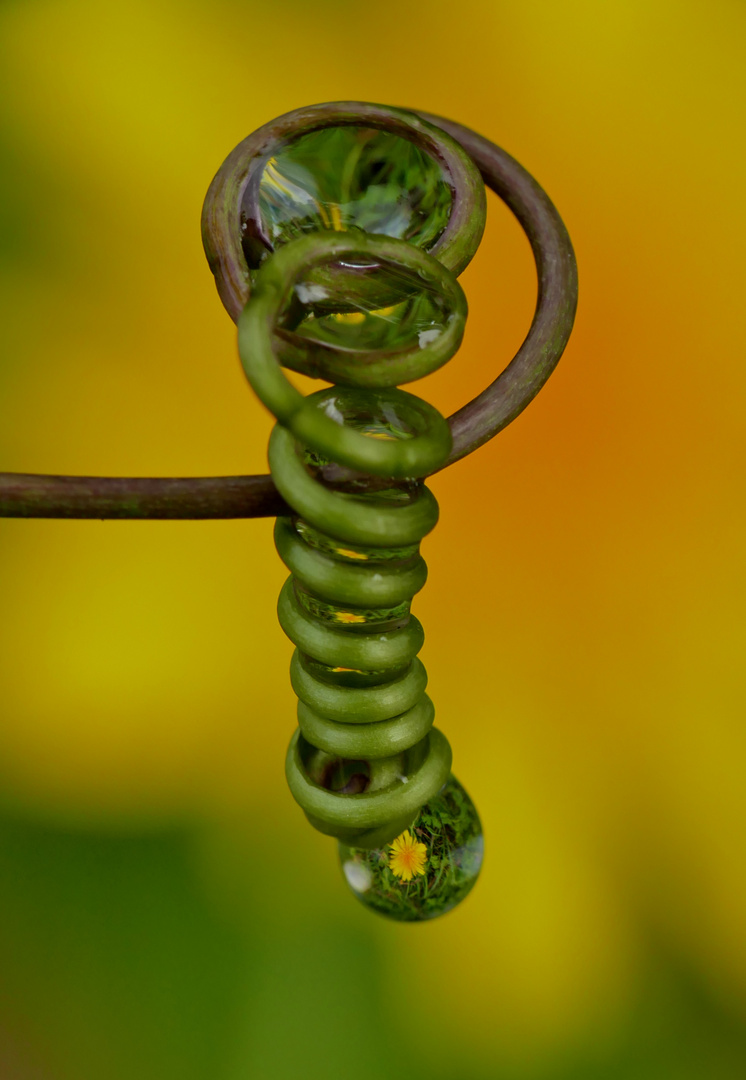 Green Spiral