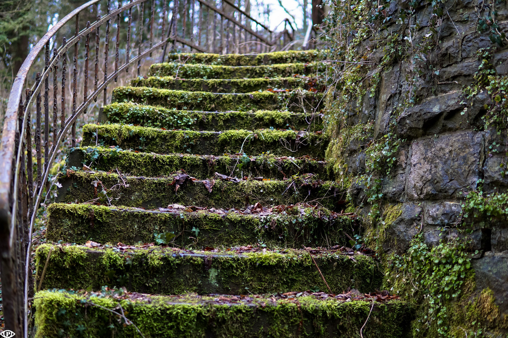 Green Stairs