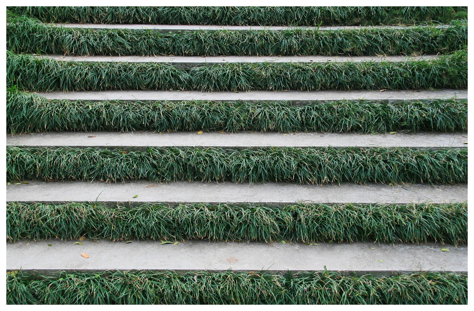 green stairs...