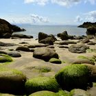 Green Stones Irland