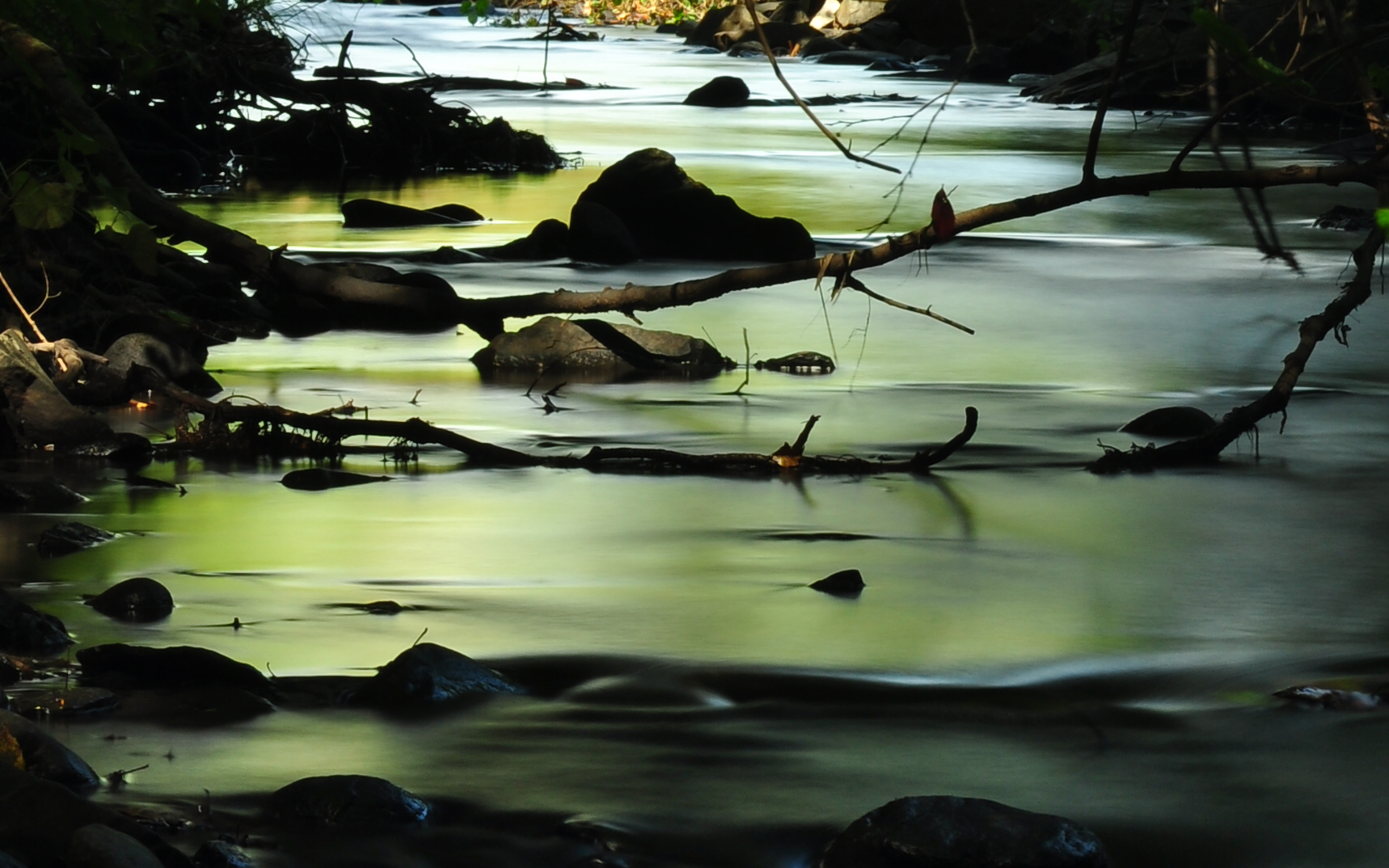 Green Stream