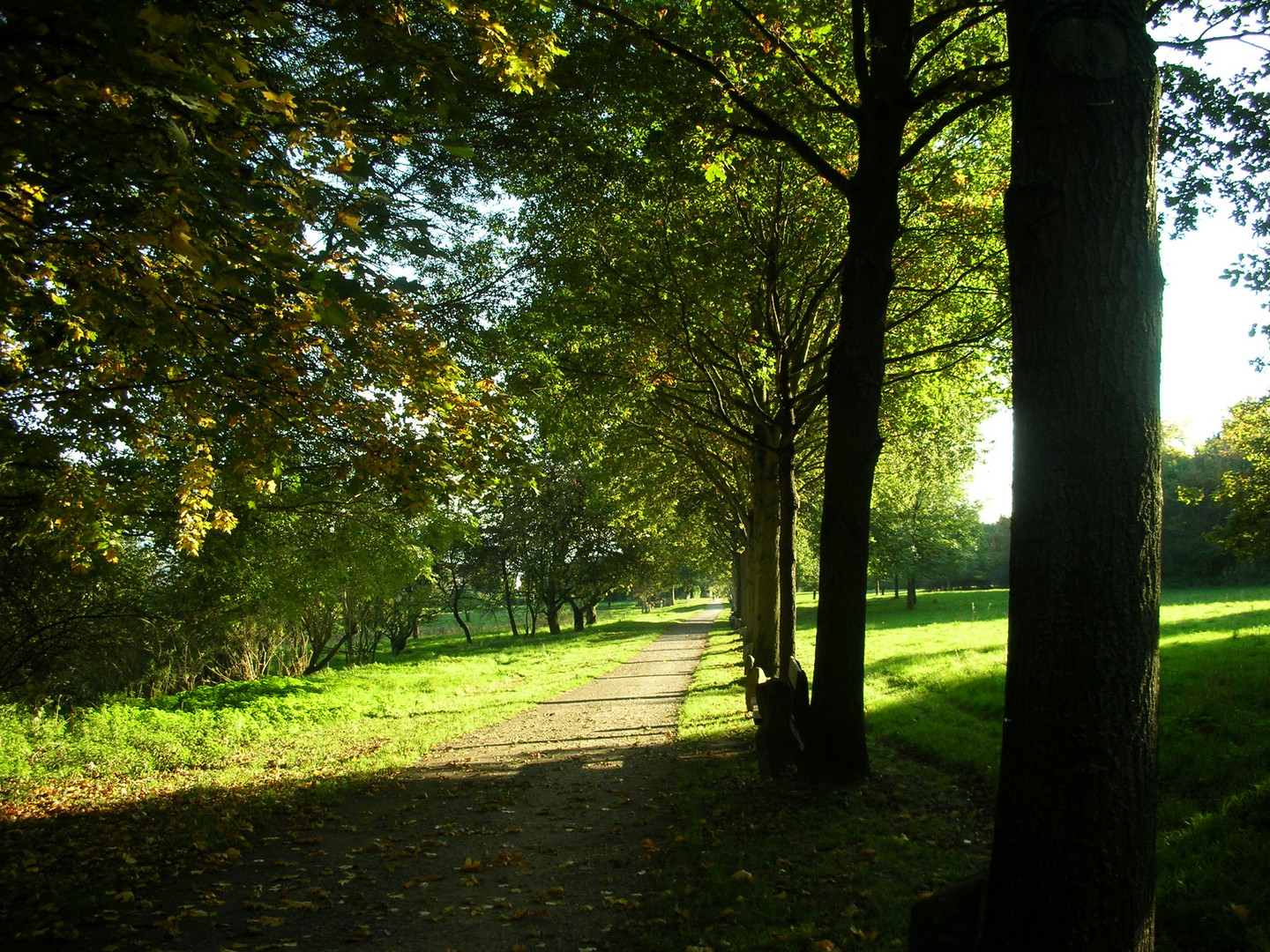 Green Street