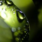 green teardrops