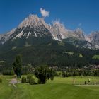 Green Tee am wilden Kaiser