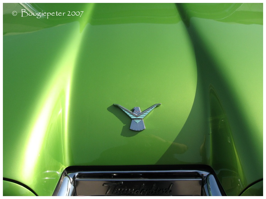 Green Thunderbird