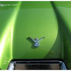 Green Thunderbird