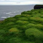 green tiles