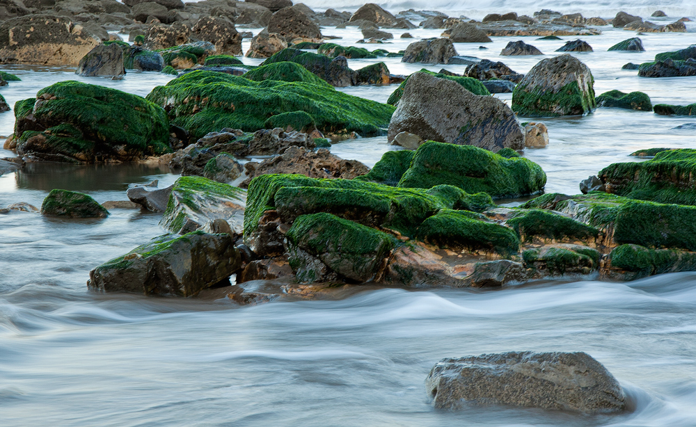 Green topping