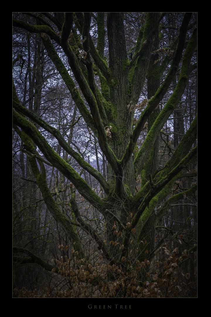 Green Tree