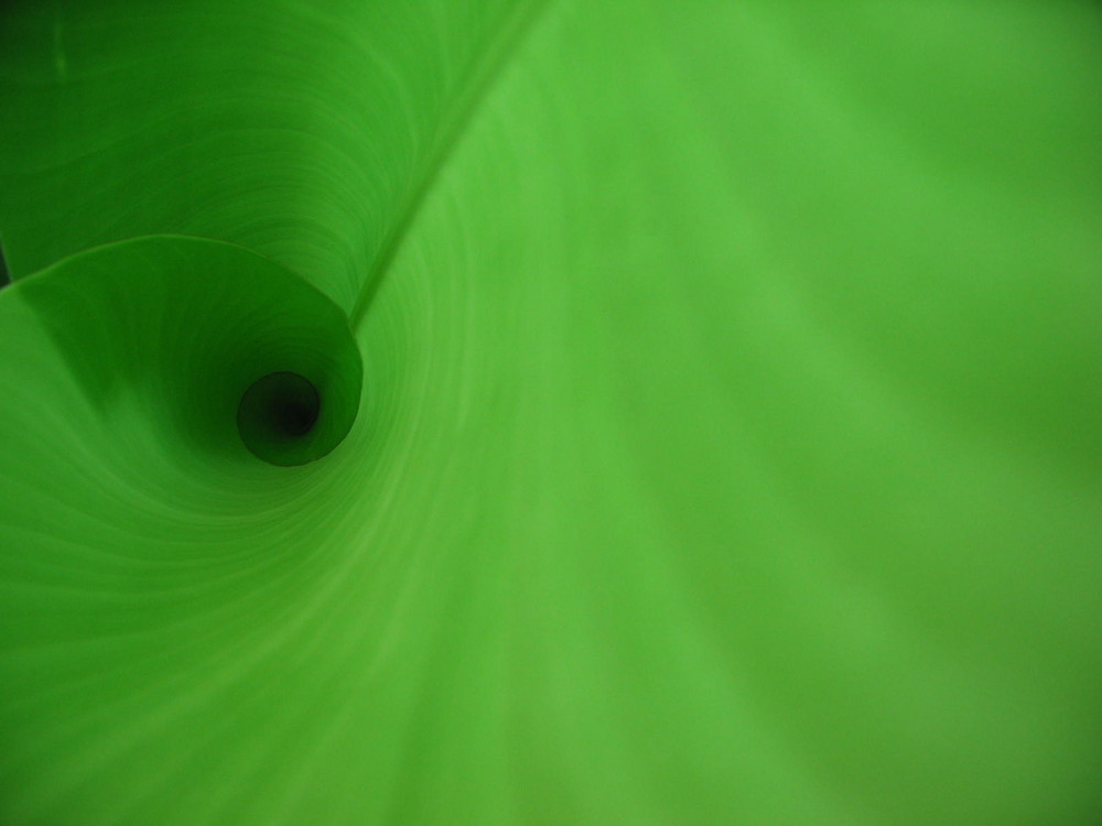Green tube.