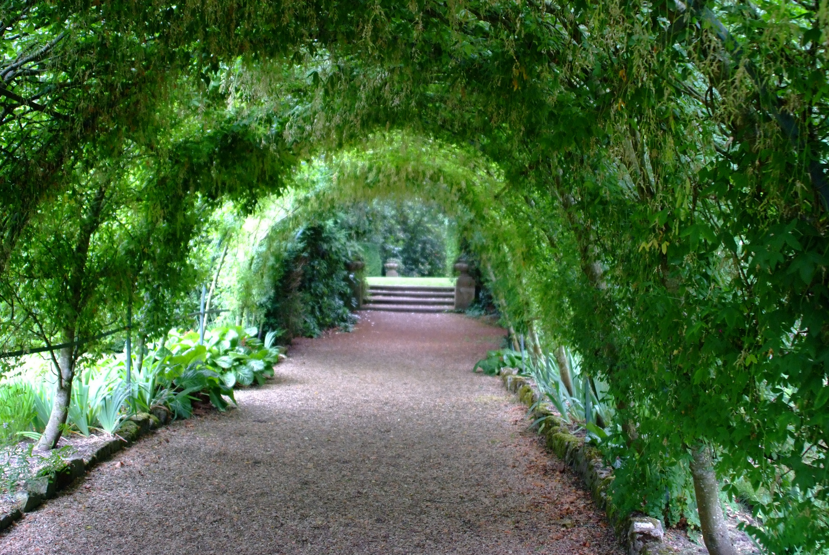 green tunel 